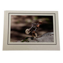 Acorn Whimsy Bicycle-Themed Greeting Cards