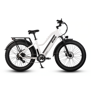 Dirwin Pioneer Step-Through Fat Tire eBike